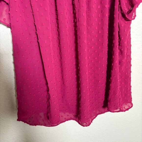 J Crew Blouse Women's Small Short Sleeve Polka Dot Lined Beery Pink Sheer Top - Picture 3 of 7